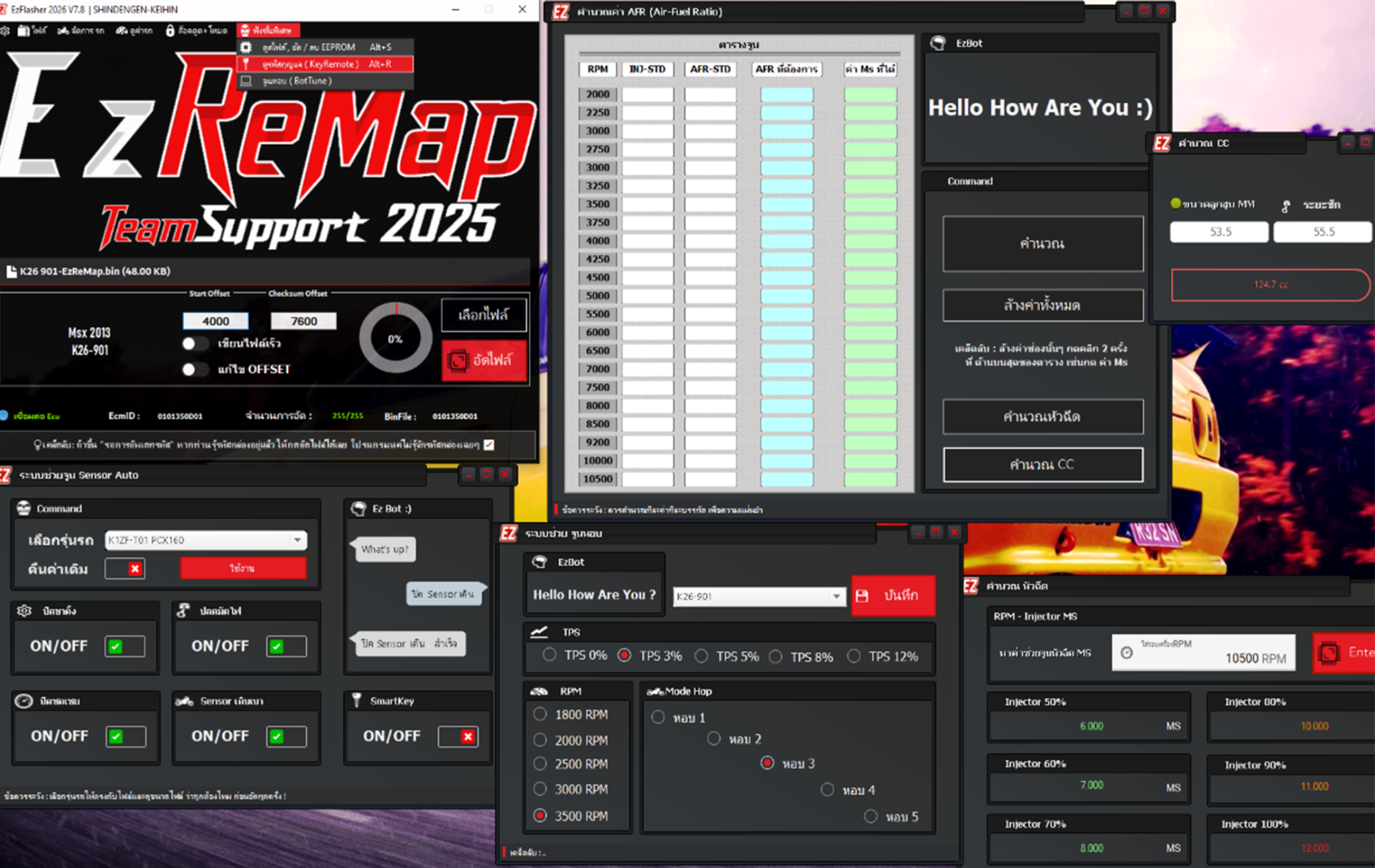 EZ ReMap UI overview